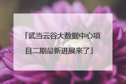 武当云谷大数据中心项目二期最新进展来了